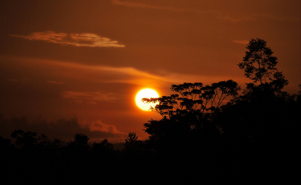 Heart of Darkness: International Intelligence Agencies Eye South&nbsp;Africa