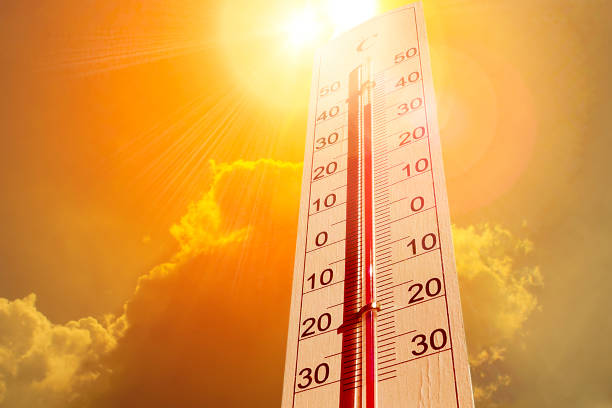 Cooling Europe Down: Strategies to Combat Heatwaves